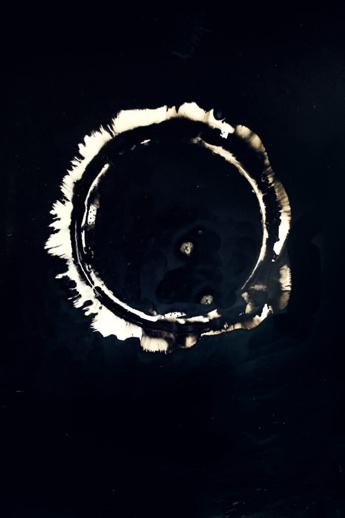 NEUMOND